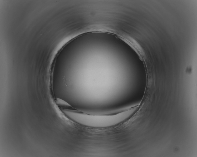 X0000091981144200710041104