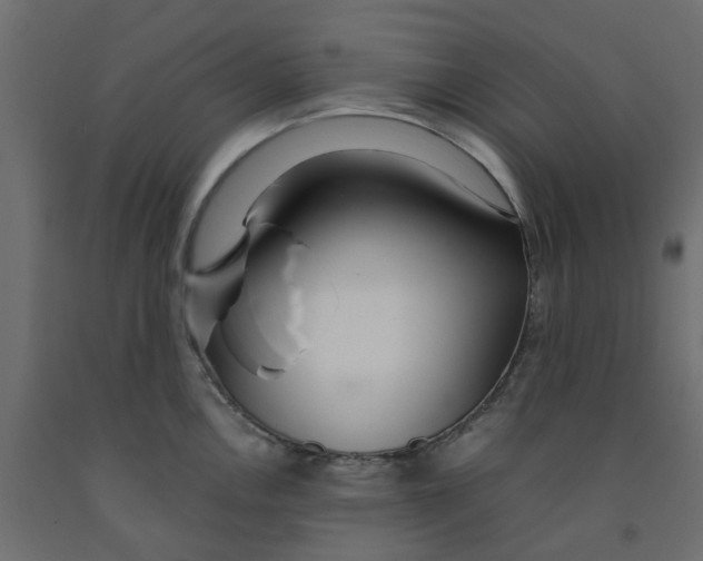 X0000091981146200710041104