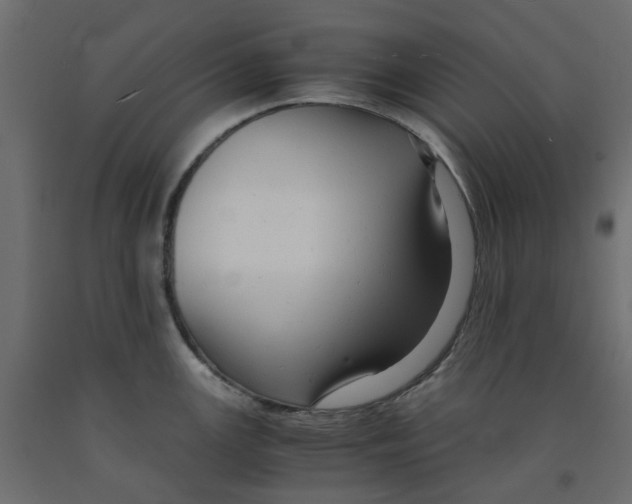 X0000091981147200710041104