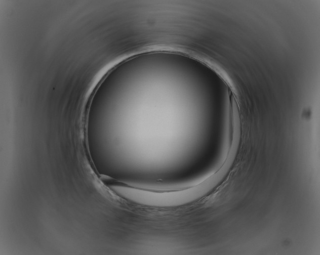 X0000091981148200710041104