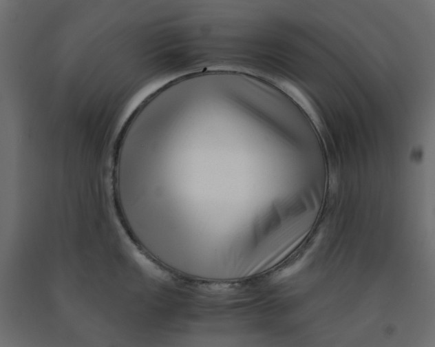 X0000091981149200710041104