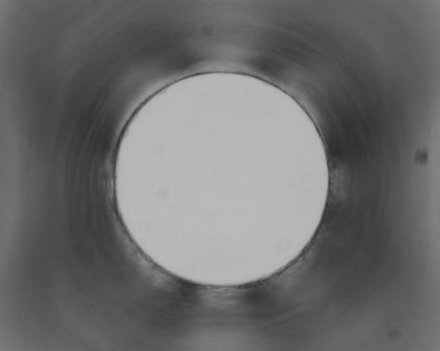 X0000091981150200710041104