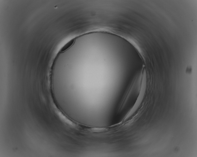 X0000091981151200710041104