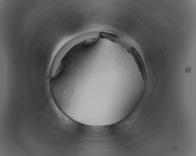 X0000091981152200710041104