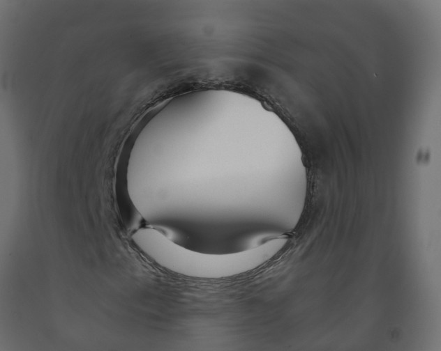 X0000091981153200710041104