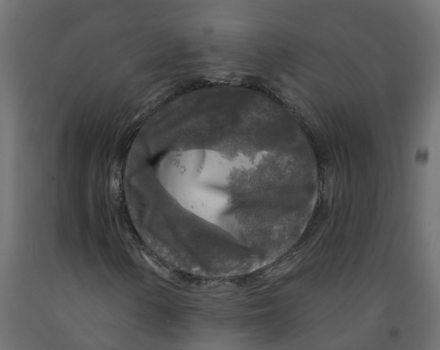 X0000091981154200710041104