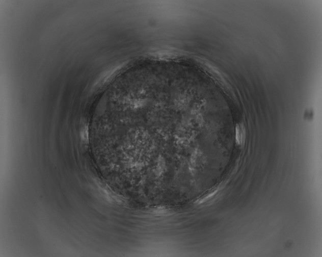 X0000091981155200710041104