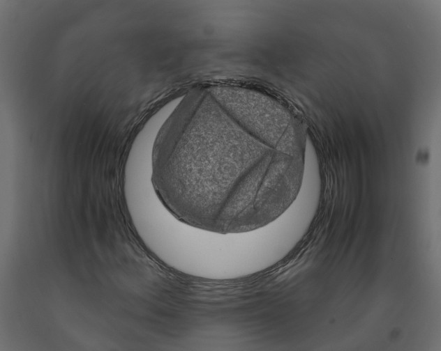 X0000091981156200710041104