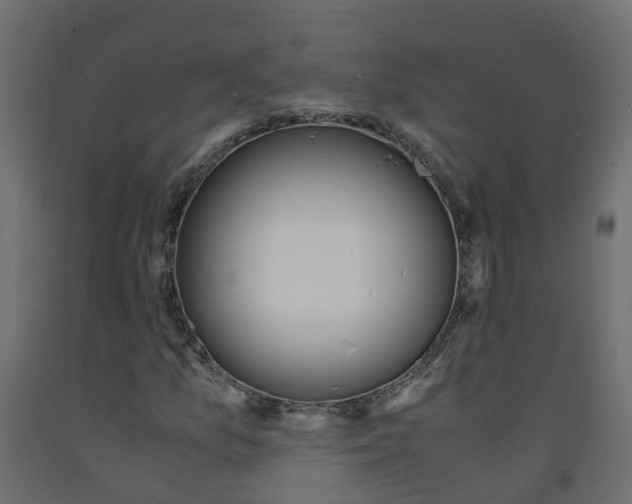 X0000091981157200710041104