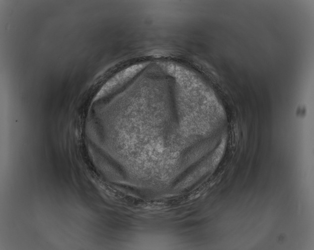 X0000091981158200710041104