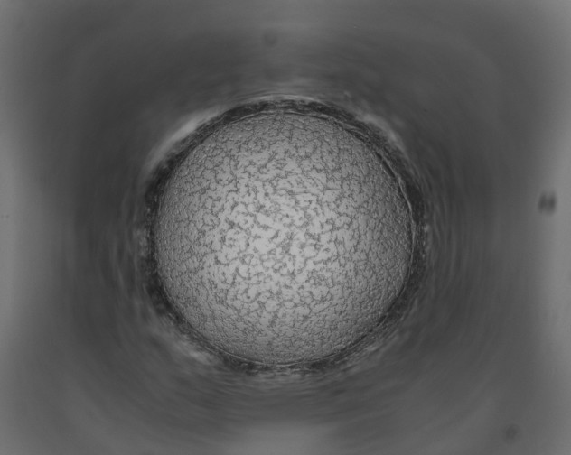 X0000091981159200710041104