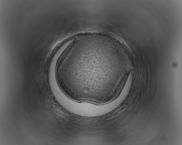 X0000091981160200710041104