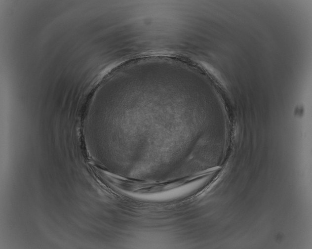 X0000091981161200710041104