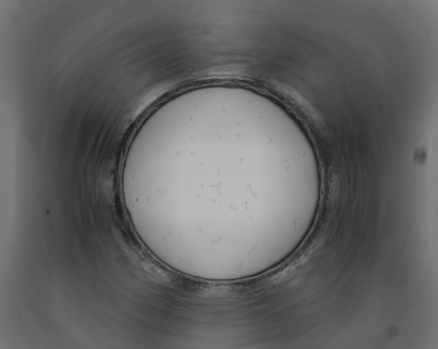 X0000091981162200710041104