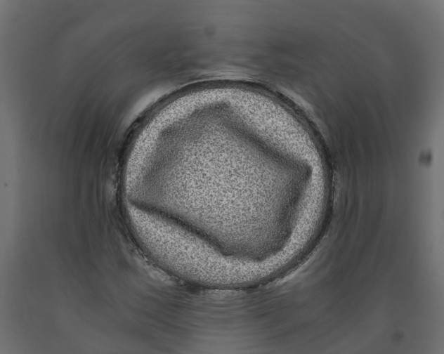 X0000091981163200710041104