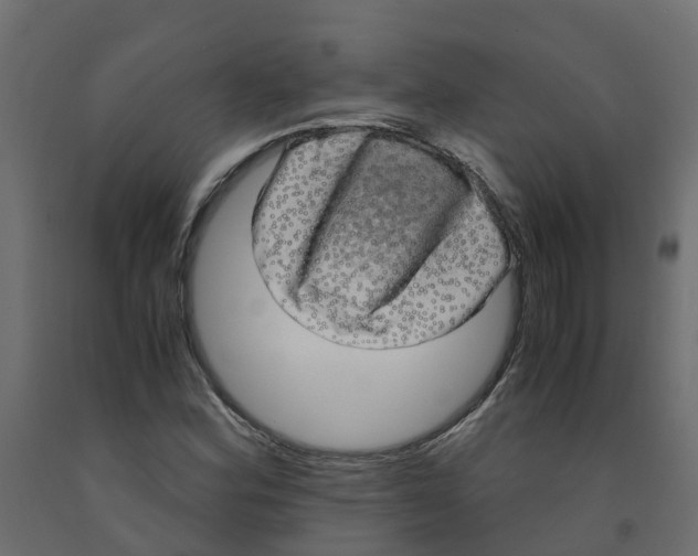 X0000091981164200710041104
