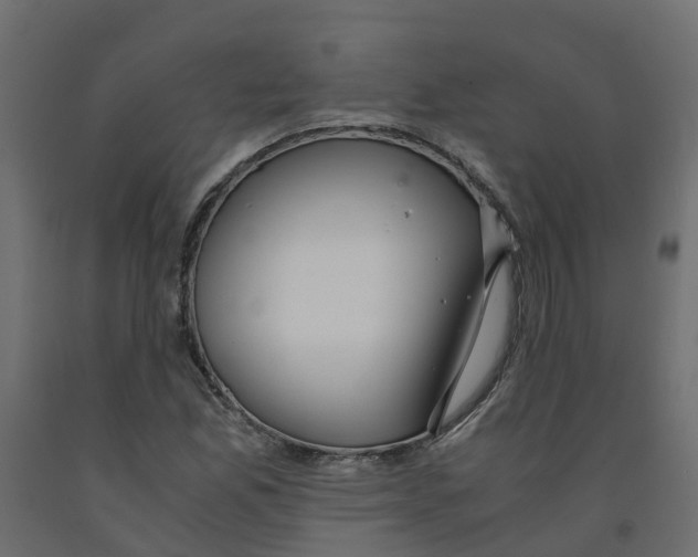 X0000091981165200710041104