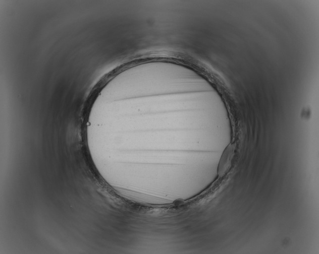 X0000091981166200710041104