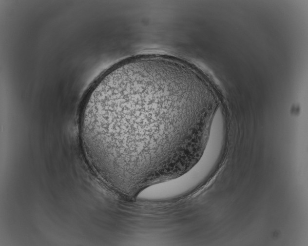 X0000091981167200710041104