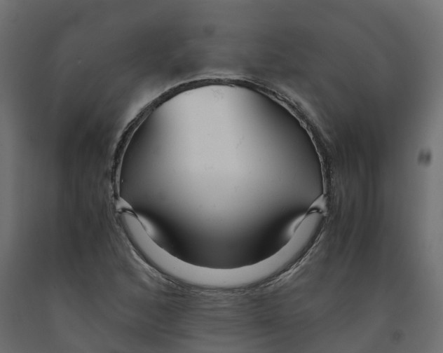 X0000091981168200710041104