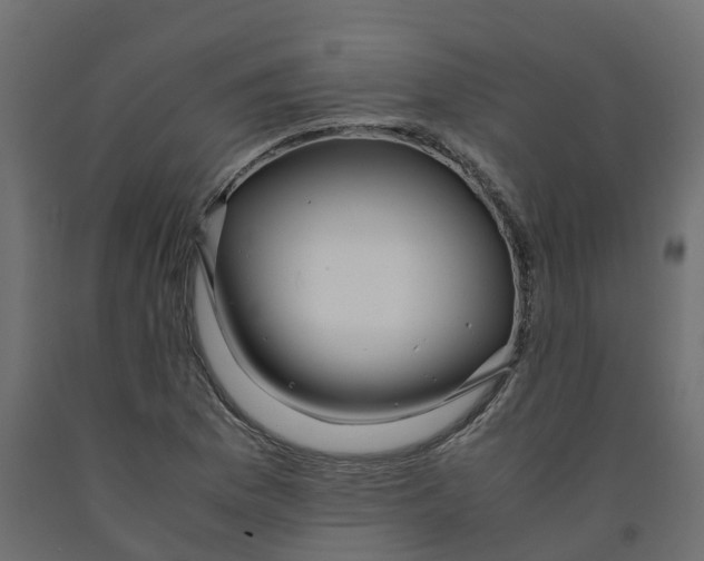 X0000091981169200710041104