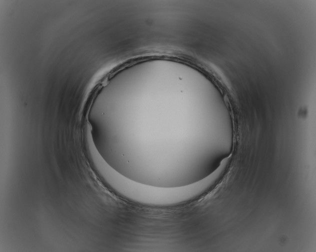 X0000091981172200710041103
