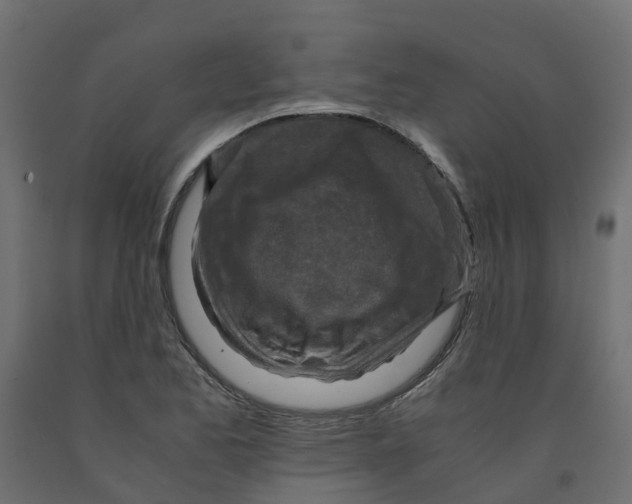X0000091981173200710041103