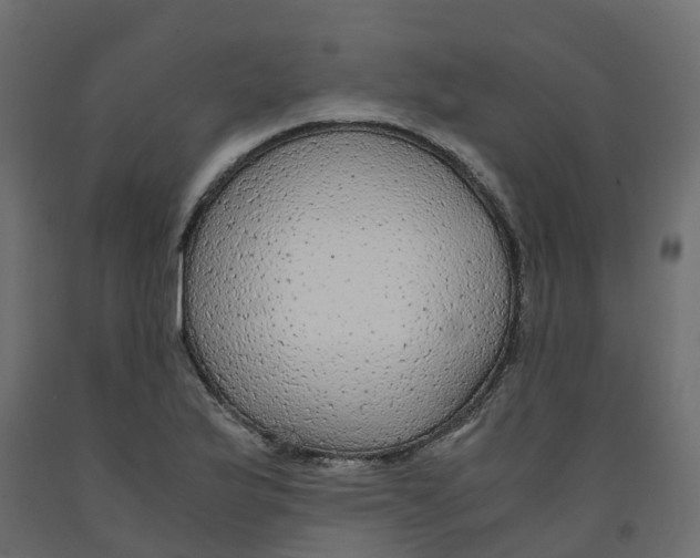 X0000091981175200710041103
