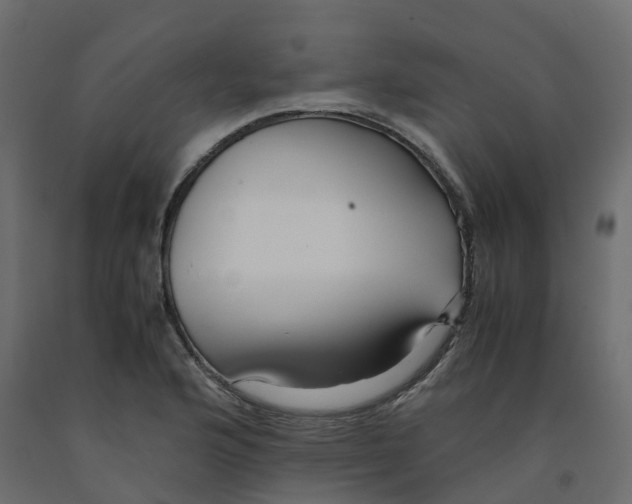 X0000091981176200710041103