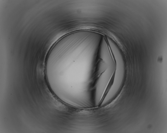 X0000091981178200710041103