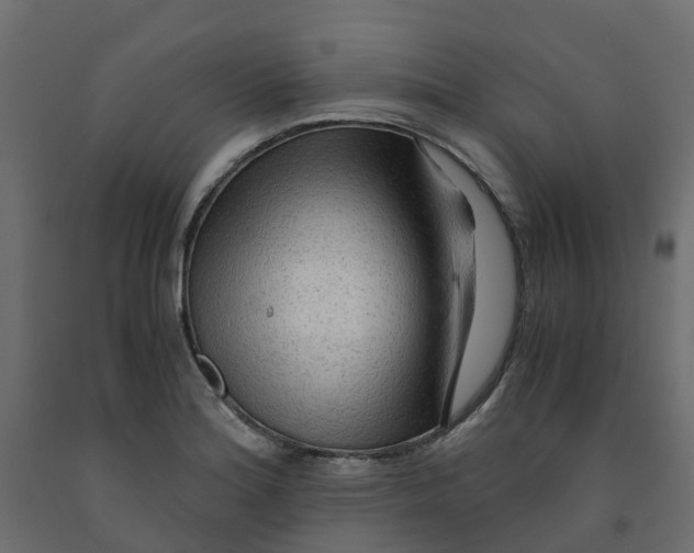 X0000091981180200710041103