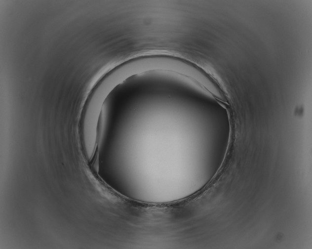 X0000091981181200710041103