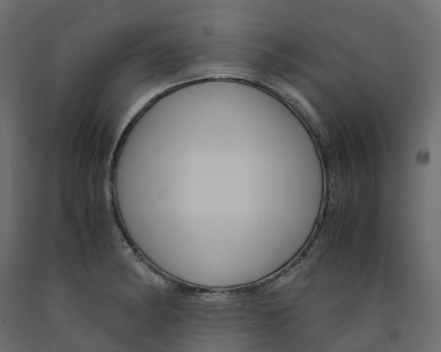 X0000091981182200710041103