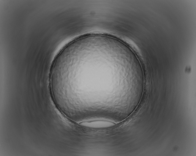X0000091981183200710041103