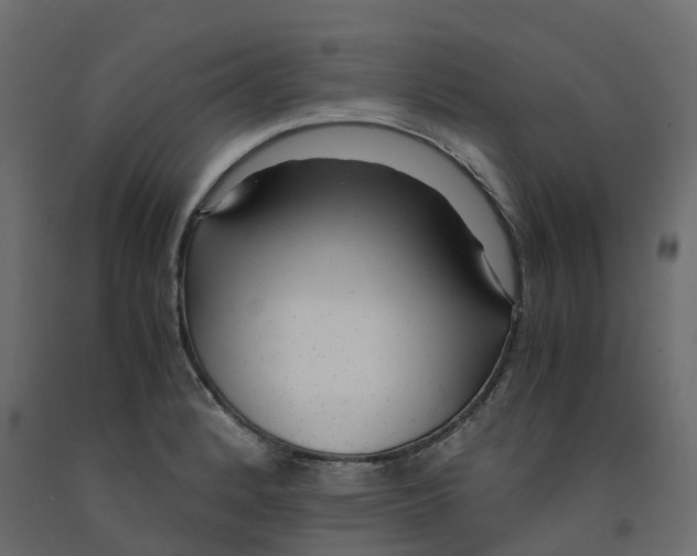 X0000091981184200710041103