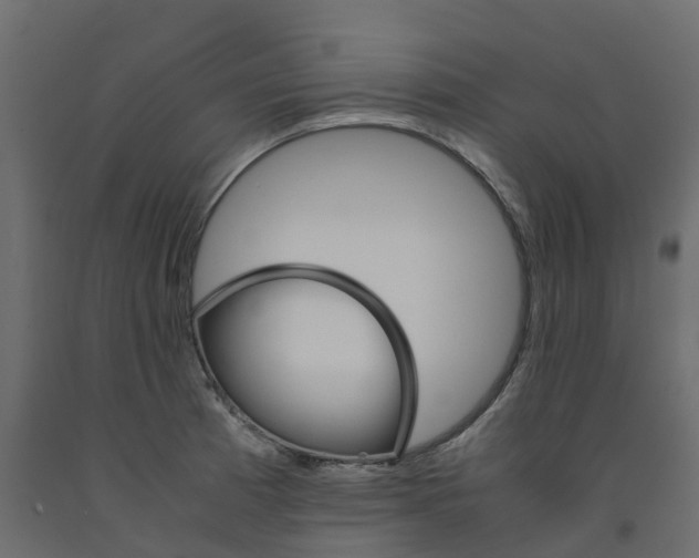 X0000091981185200710041103