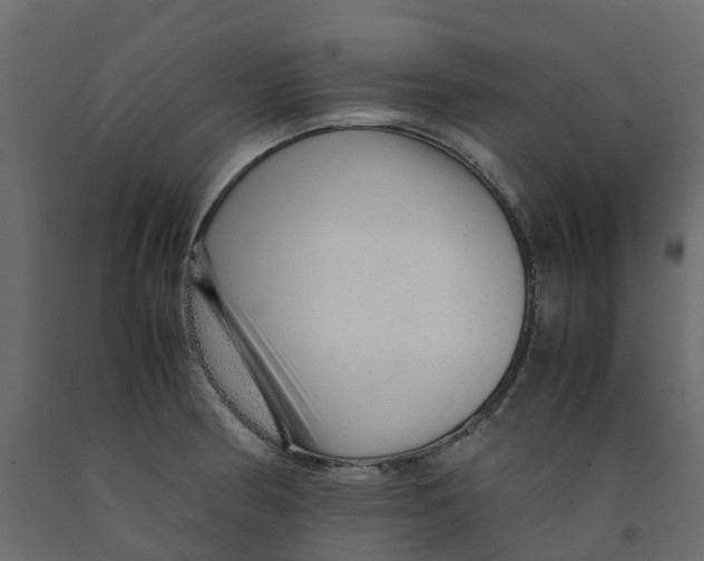 X0000091981186200710041103