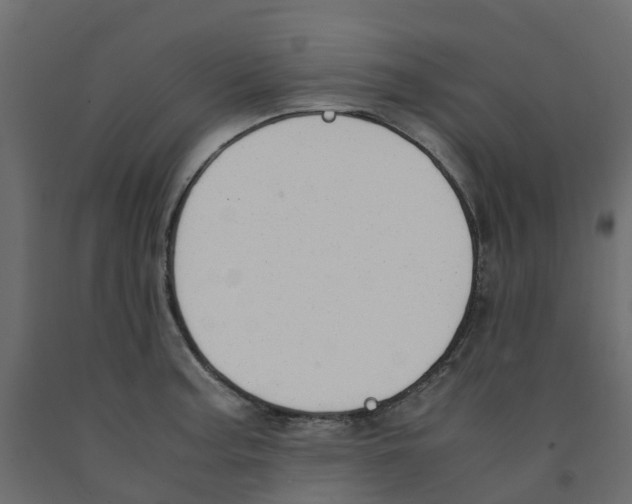 X0000091981187200710041103
