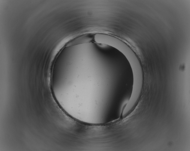 X0000091981188200710041103