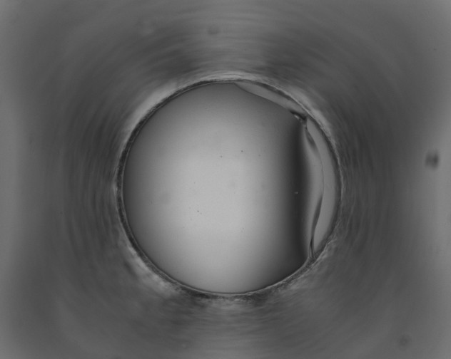 X0000091981189200710041103