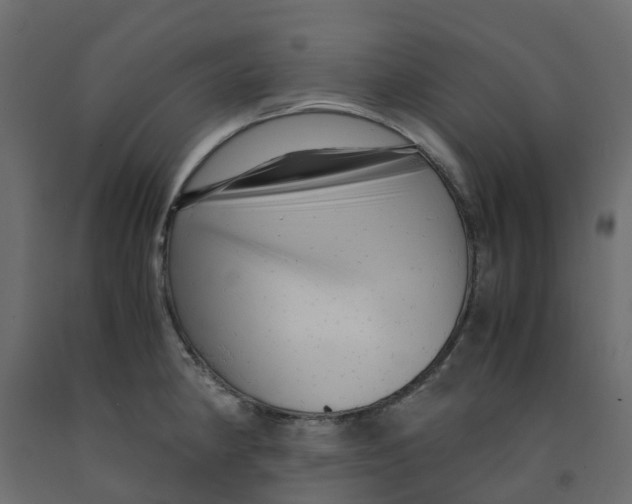 X0000091981190200710041103