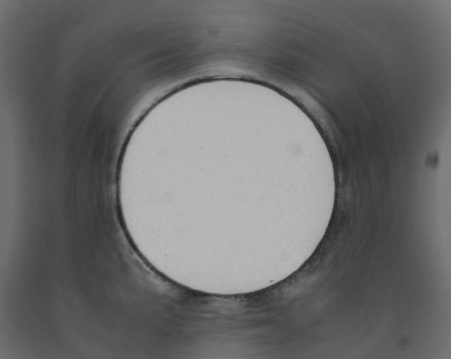 X0000091981191200710041103