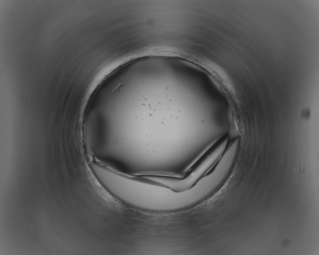 X0000091981192200710041103