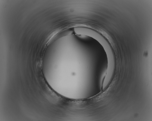 X0000091981193200710041103