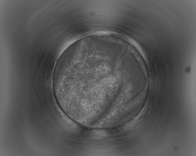 X0000091981194200710041103
