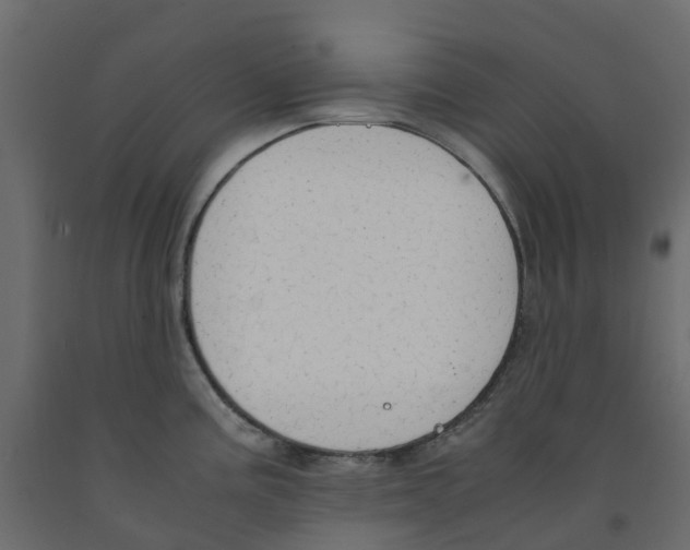 X0000091981195200710041103