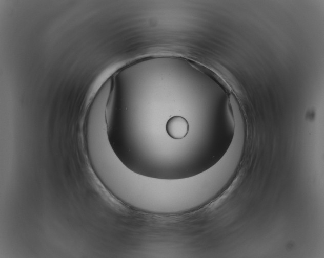 X0000091981196200710041103
