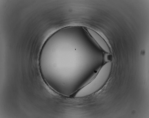 X0000091981197200710041103