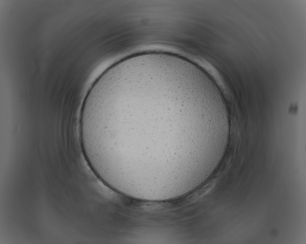 X0000091981199200710041103