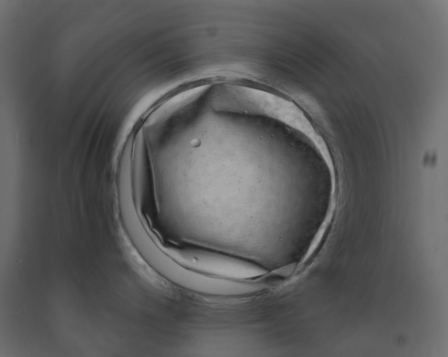 X0000091981200200710041103